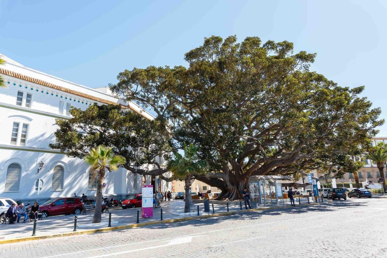 El Tesoro De La Caleta By Cadiz4rentals * Cadice